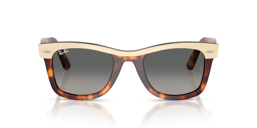 Ray-Ban RB2240 Wayfarer Sunglasses