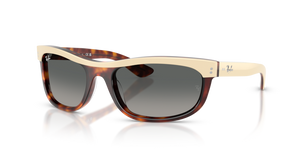 144371 - Beige Havana with Gradient Grey Lenses