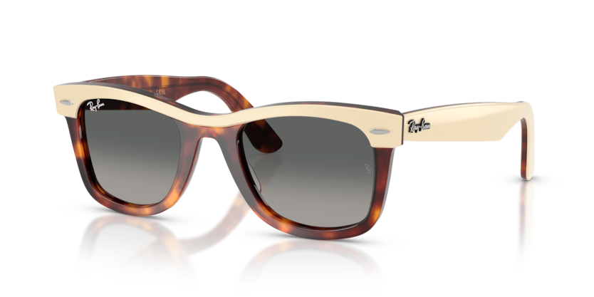 Ray-Ban RB2240 Wayfarer Sunglasses