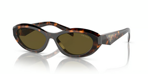 14L09Z - Sage/Honey Tortoise with Dark Brown Lenses