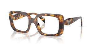 14L1O1 - Honey Tortoise with Clear Lenses