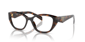 14L1O1 - Honey Tortoise with Clear Lenses