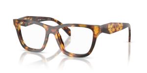 14L1O1 - Honey Tortoise with Clear Lenses