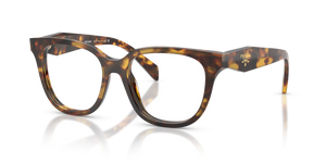 14L1O1 - Honey Tortoise with Clear Lenses