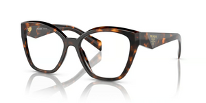 14L1O1 - Honey Tortoise with Clear Lenses