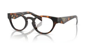 14L1O1 - Honey Tortoise with Clear Lenses