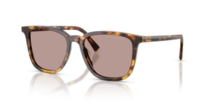16K90Q - Black with Brown Lenses