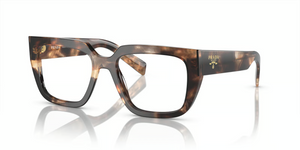 14P1O1 - Havana Caramel with Clear Lenses