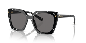 15S5Z1 - Black Crystal Tortoise with Polarized Dark Grey Lenses