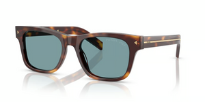 15W04D - Classic Tortoise with Polarized Green Lenses