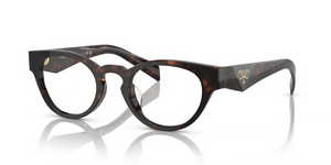 16N1O1 - Briar Tortoise with Clear Lenses