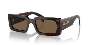 16N5Y1 - Briar Tortoise with Polarized Dark Brown Lenses