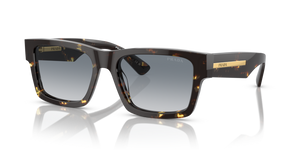 16R30F - Black Malt Tortoise with Grey gradient Lenses