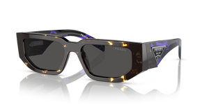 16R5S0 - Tortoise  Black Malt with Dark Grey Lenses