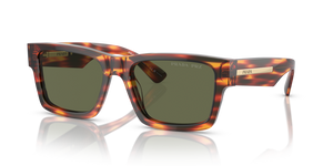 16S03R - Striped Briar Tortoise with Polarized Green Lenses