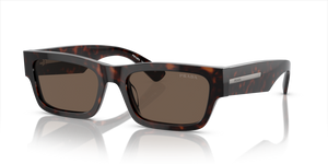 17N08T - Havana Radica with Brown Lenses