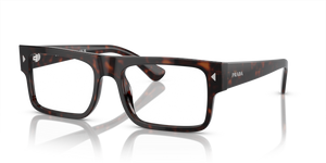 17N1O1 - Havana with Clear Lenses