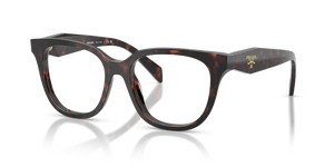 17N1O1 - Root Tortoise with Clear Lenses