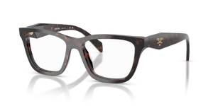17N1O1 - Root Tortoise with Clear Lenses