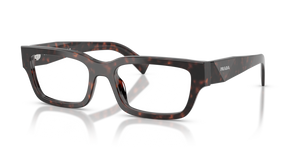 17N1O1 - Root Tortoise with Clear Lenses