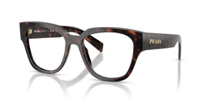17N1O1 - Root Tortoise with Clear Lenses