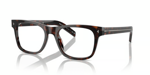 17N1O1 - Radica Tortoise with Clear Lenses