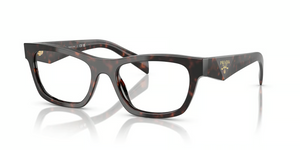 17N1O1 - Root Tortoise with Clear Lenses