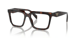 17N1O1 - Root Tortoise with Clear Lenses