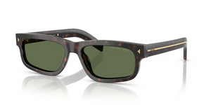 17N20G - Root Tortoise with Polarized Green Lenses