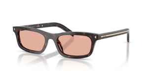 17N50W - Root Tortoise with Pink Lenses