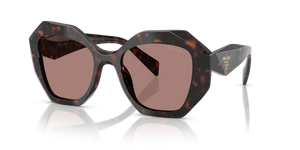 17N60B - Root Tortoise with Light Brown Lenses