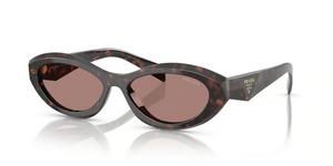 17N60B - Root Tortoise with Light Brown Lenses