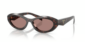 17N60B - Root Tortoise with Light Brown Lenses