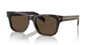 17N70F - Radica Tortoise with Dark Brown Lenses
