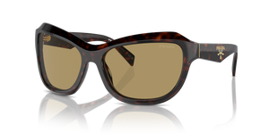 17N70G - Radica Tortoise with Green Olive Lenses