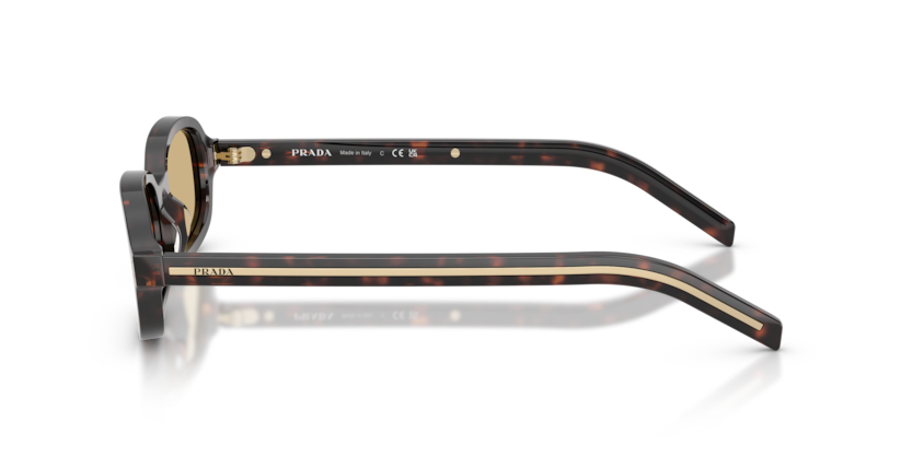 Prada PR D06S Sunglasses