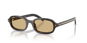 17N70R - Root Tortoise with Light Brown Lenses
