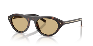 17N70R - Root Tortoise with Light Brown Lenses