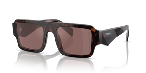 17N90B - Briar Tortoise with Brown Mirror Internal Silver Lenses