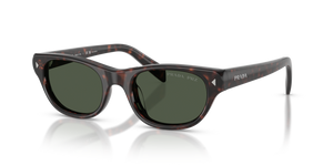 17N90V - Havana with Dark Grey Polarized Lenses