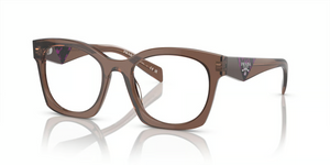 17O1O1 - Transparent Brown with Clear Lenses