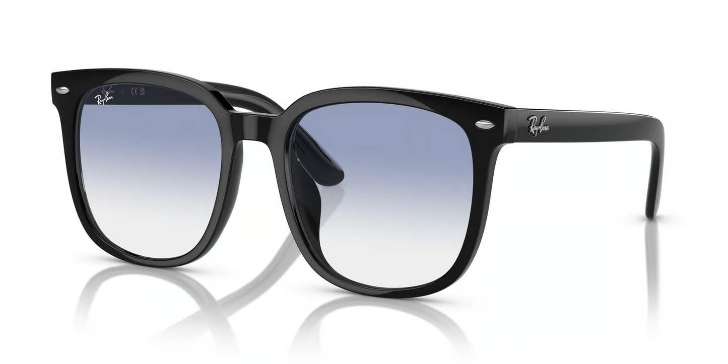 Ray-Ban RB4401D Sunglasses