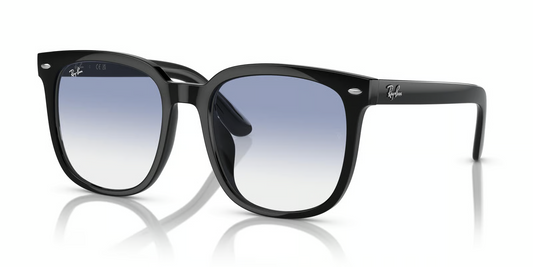 Ray-Ban RB4401D Sunglasses