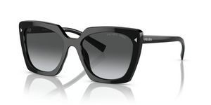 1AB5W1 - Black with Polarized Grey Gradient Lenses