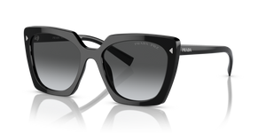 1AB5W1 - Black with Polarized Grey Gradient Lenses