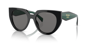 1AB5Z1 - Black with Polarized Dark Grey Lenses
