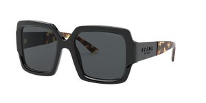 1AB5Z1 - Black with Polarized Grey Lenses