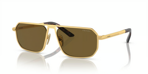 1BK01T - Matte Gold with Dark Brown Lenses