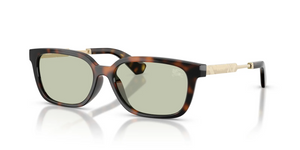 3002/2 - Dark Havana with Light Green Lenses