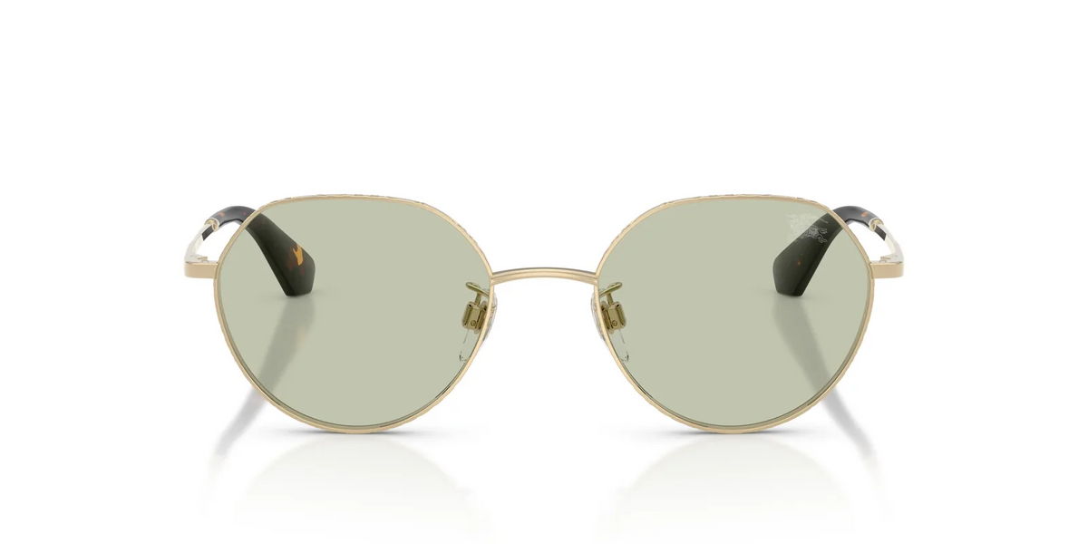 Burberry BE3173D Sunglasses